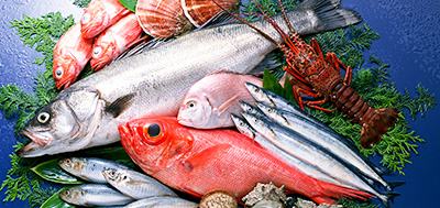 魚(yú)、蝦、殼類(lèi)等各種海產(chǎn)品
